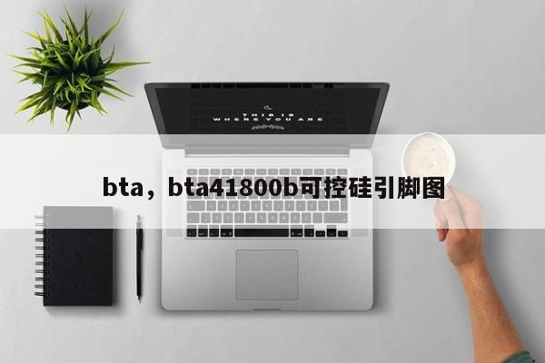 bta，bta41800b可控硅引脚图