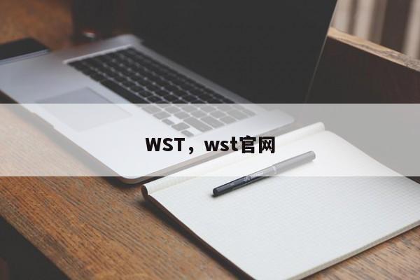 WST，wst官网