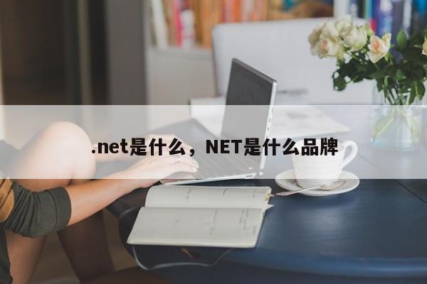 .net是什么，NET是什么品牌
