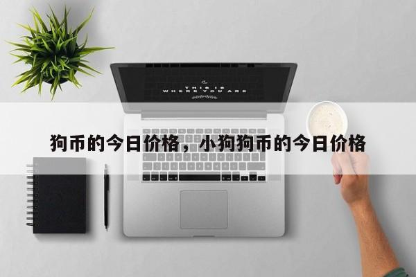狗币的今日价格，小狗狗币的今日价格