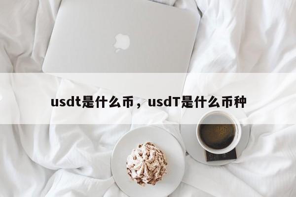 usdt是什么币，usdT是什么币种
