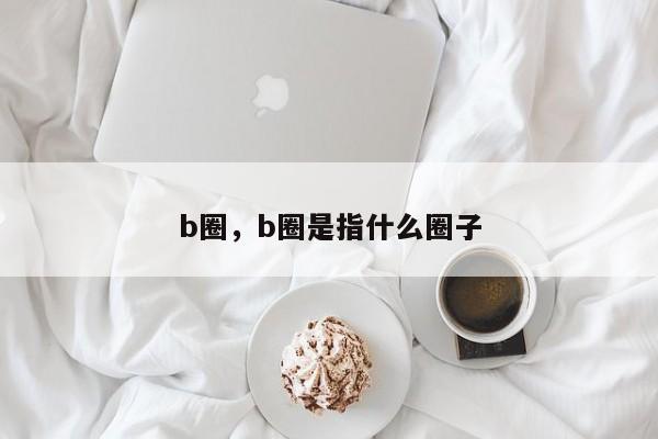b圈，b圈是指什么圈子