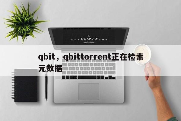 qbit，qbittorrent正在检索元数据
