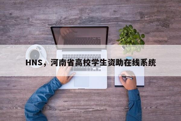 HNS，河南省高校学生资助在线系统