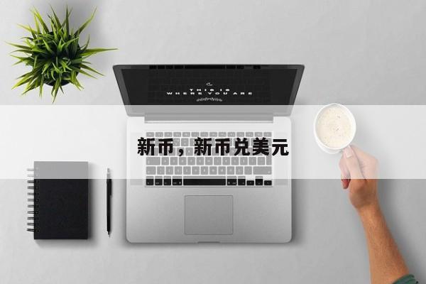 新币，新币兑美元